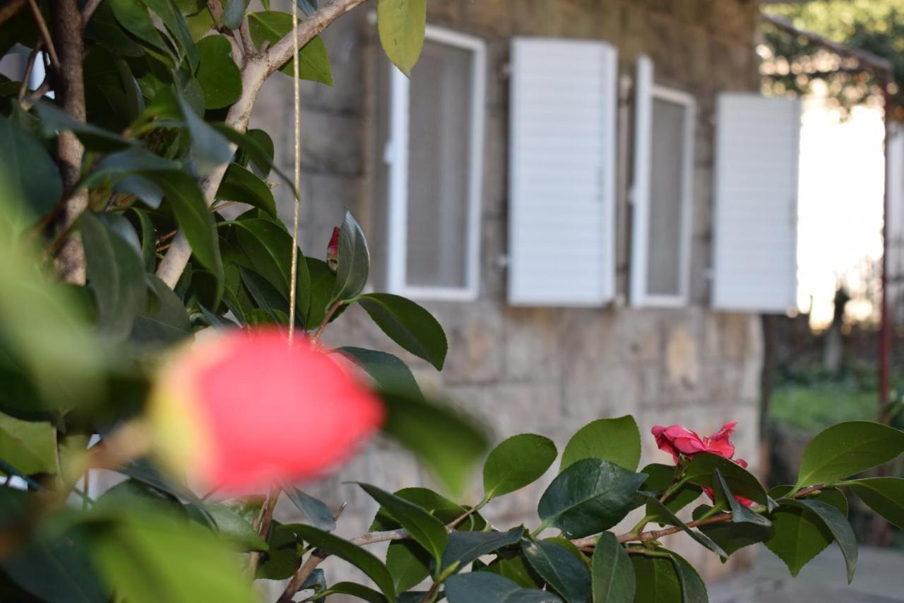 Old Town Studios บุดวา ภายนอก รูปภาพ